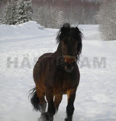Månixen