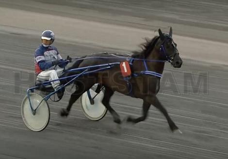 Johnsrud Vesla (NO)