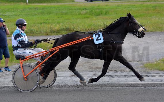 Tallmons Wivi