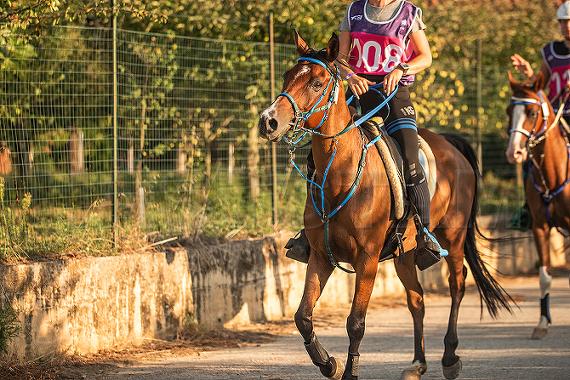 Monsoon dei Laghi ox