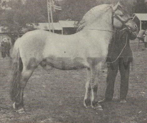 Håkonson