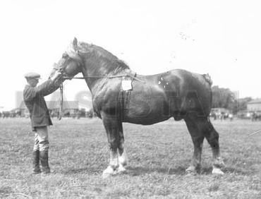 Volten