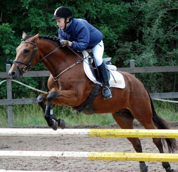 Heihoeve's Bjor