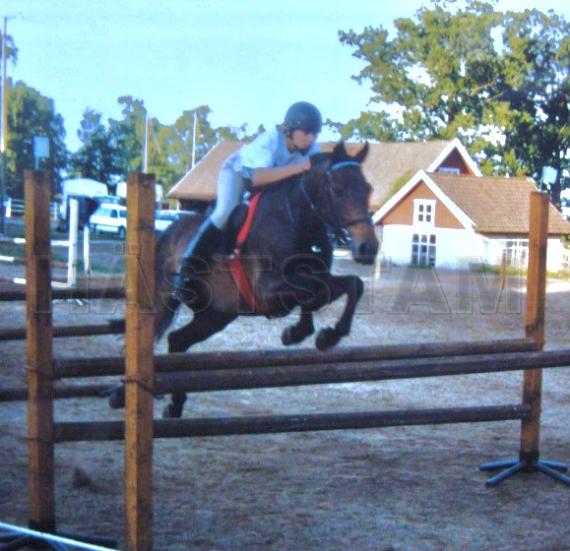Cavvie Fly