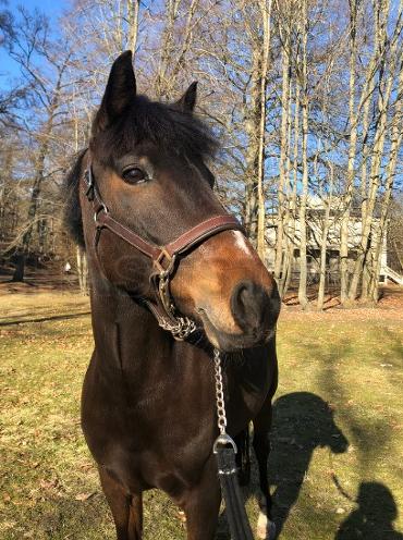 Princess Tinki Winkie