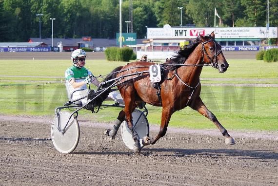 Global Cryformama