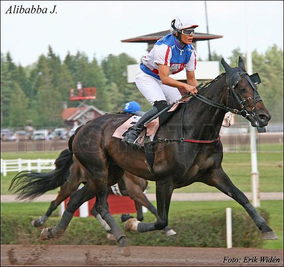 Alibabba J. (NL)
