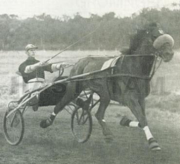 Olga Pluto (DE)