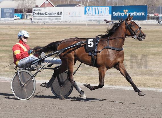 Solkattens Pearl