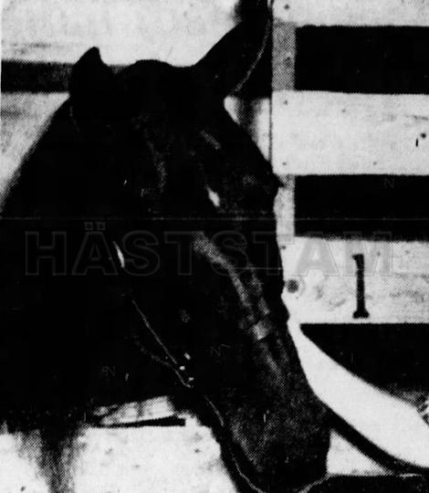 Anthony Hanover (US)