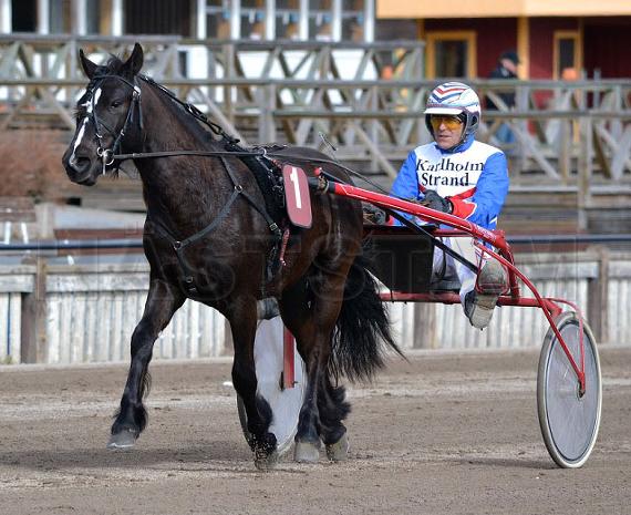 Majos Höstglöd