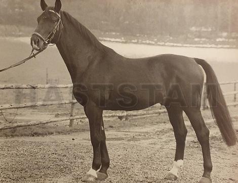 Rousseau (59)