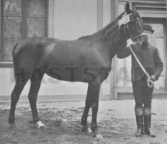 Electra II