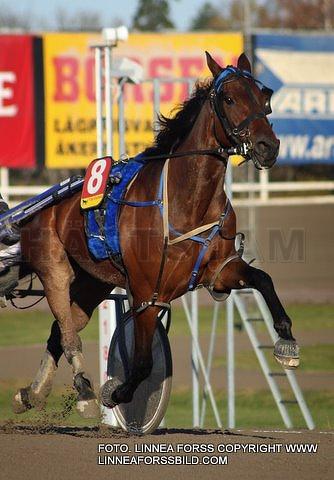 Fast Heat (DE)