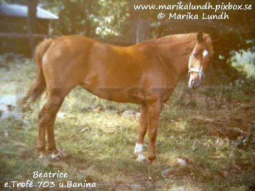 Beatrice (41)