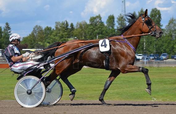 Amino Håleryd