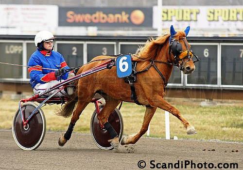 Katrinebergs Indie