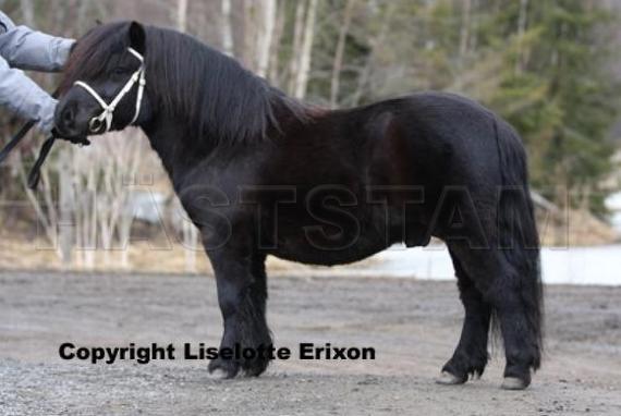 Lövets Eragon