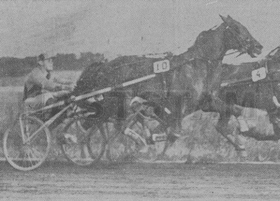 Rustibus