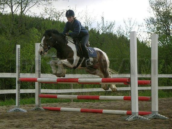 Biggles