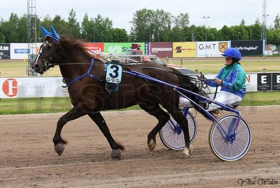 Kattens Lilla My