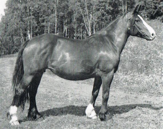 Lillemor