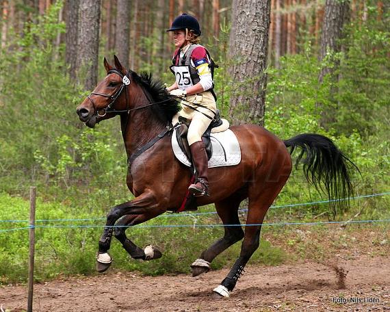 Pavel