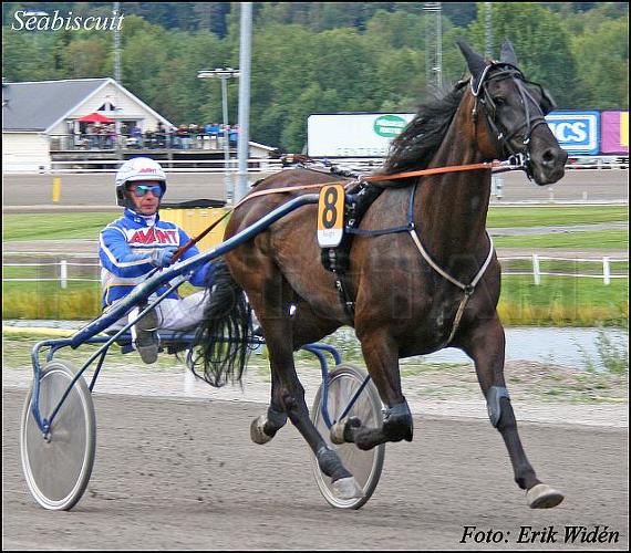 Seabiscuit (FI)