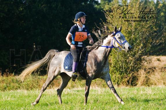 Ya Emirah Al Sahra ox