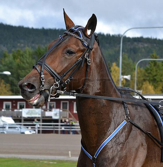 Sture Steel