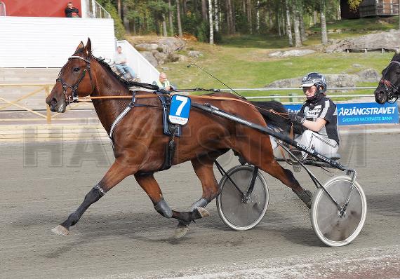 Svante Hulteby
