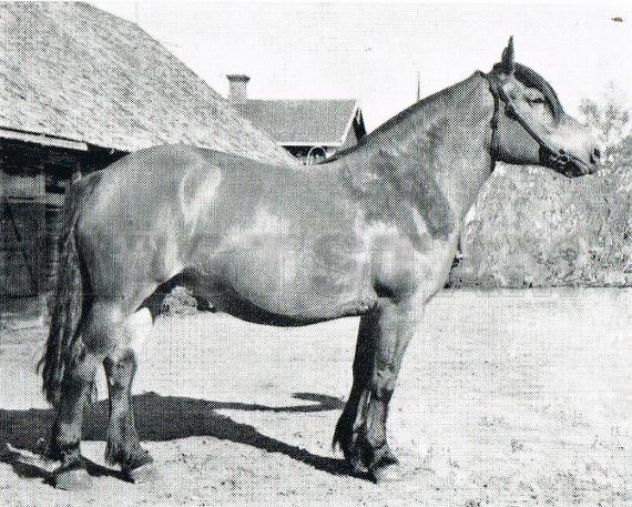 Valborg