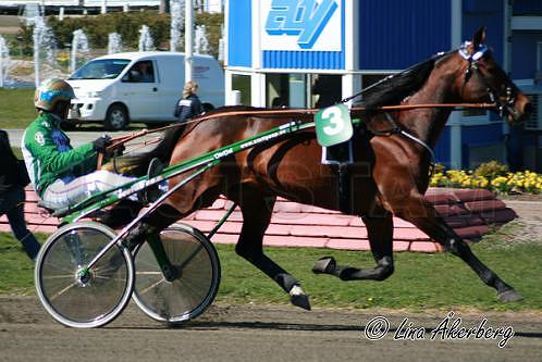 Hurricane Line (DK)