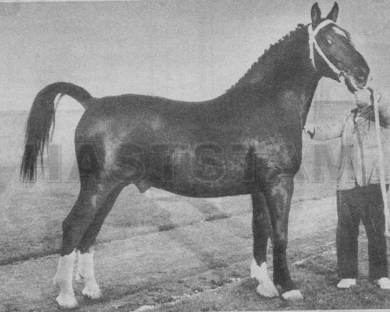 Saturnus