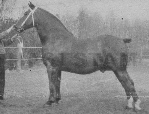 Gruson
