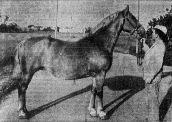 Stella Præstegaarden