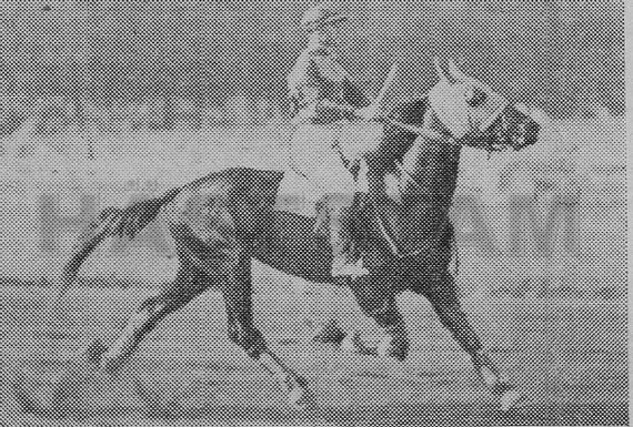 Cesar V.L. (FR)