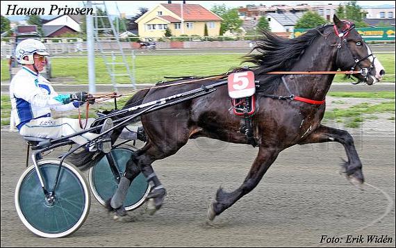 Hauan Prinsen (NO)