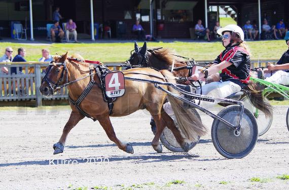 Sjöbrisens Ferrarii