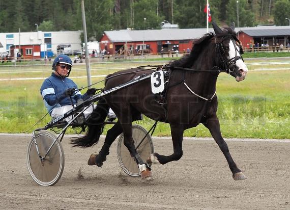 Dahls Vinna (NO)