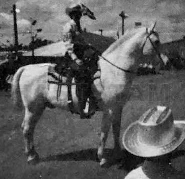 Ranger