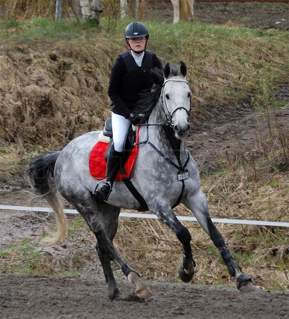 Cash In