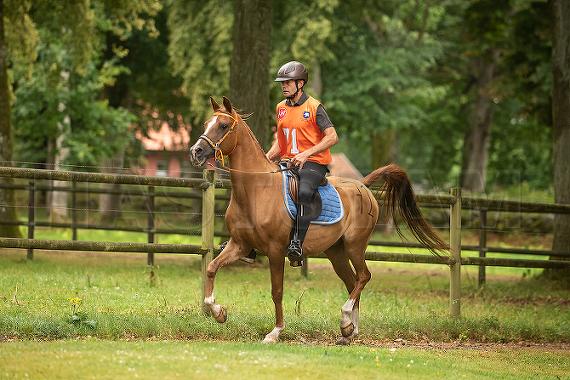 Zilhouettes Zefyr ox