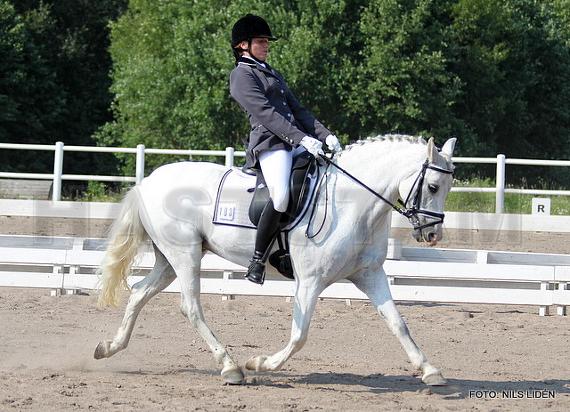 Bjerregårds Rosine