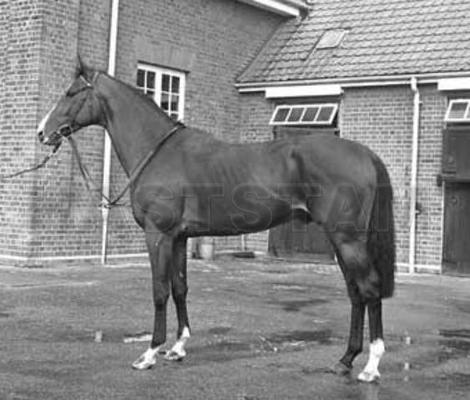 Aurelius xx
