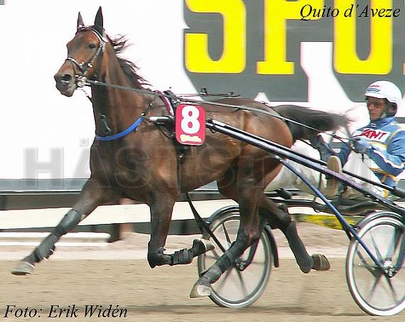 Quito d'Aveze (FR)