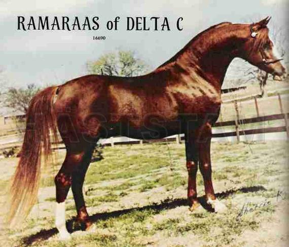 Ramaraas of Delta C ox