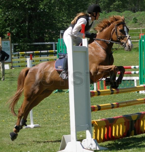 Aramis