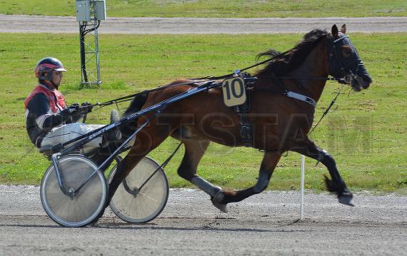 Matteus W.J.
