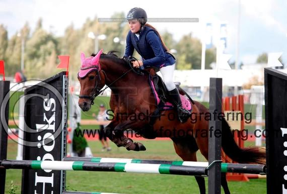 Stall Tämtas Rosette